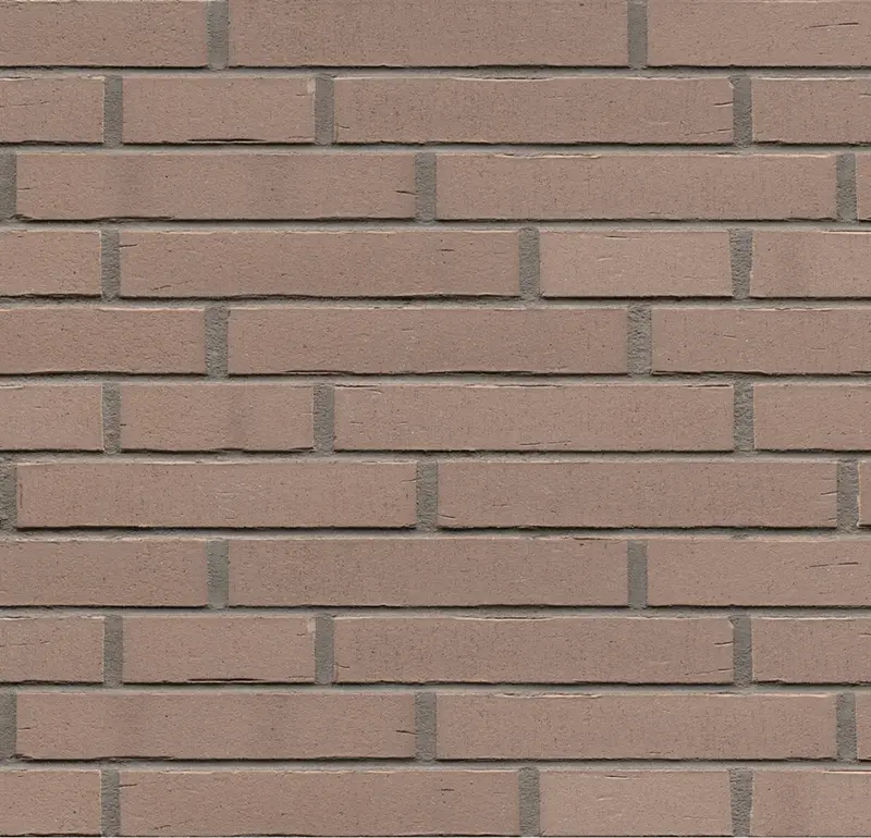Ригельная клинкерная плитка Feldhaus Klinker R760 LDF vascu argo oxana