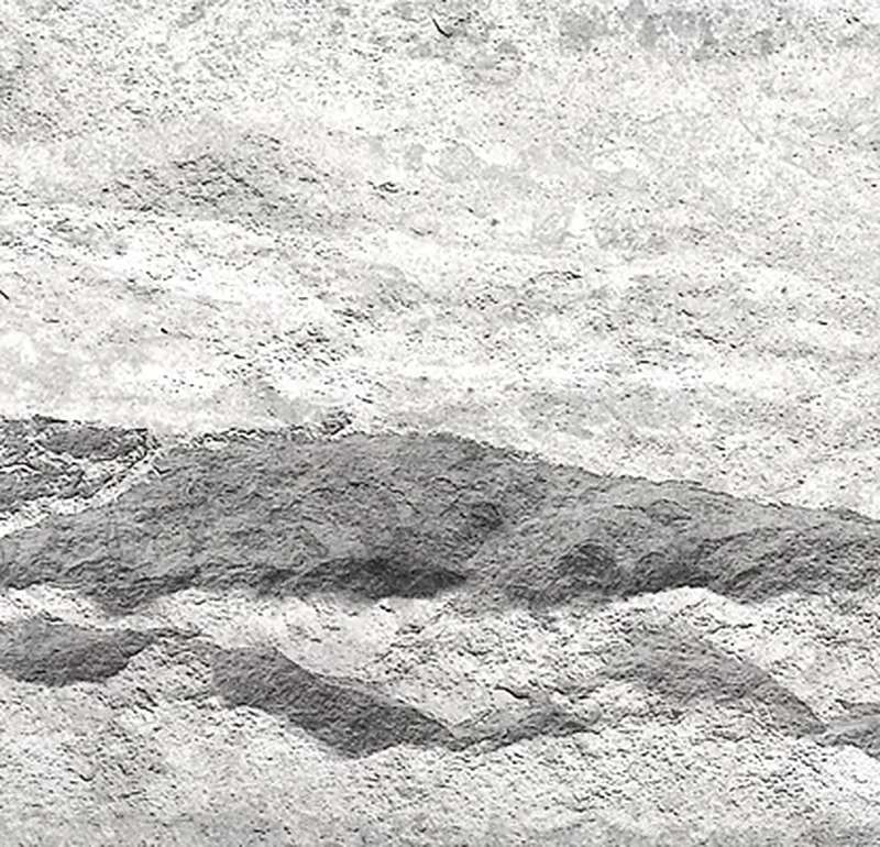 Гибкая керамика PHOMI Crossard Mushroom Stone Cloud White