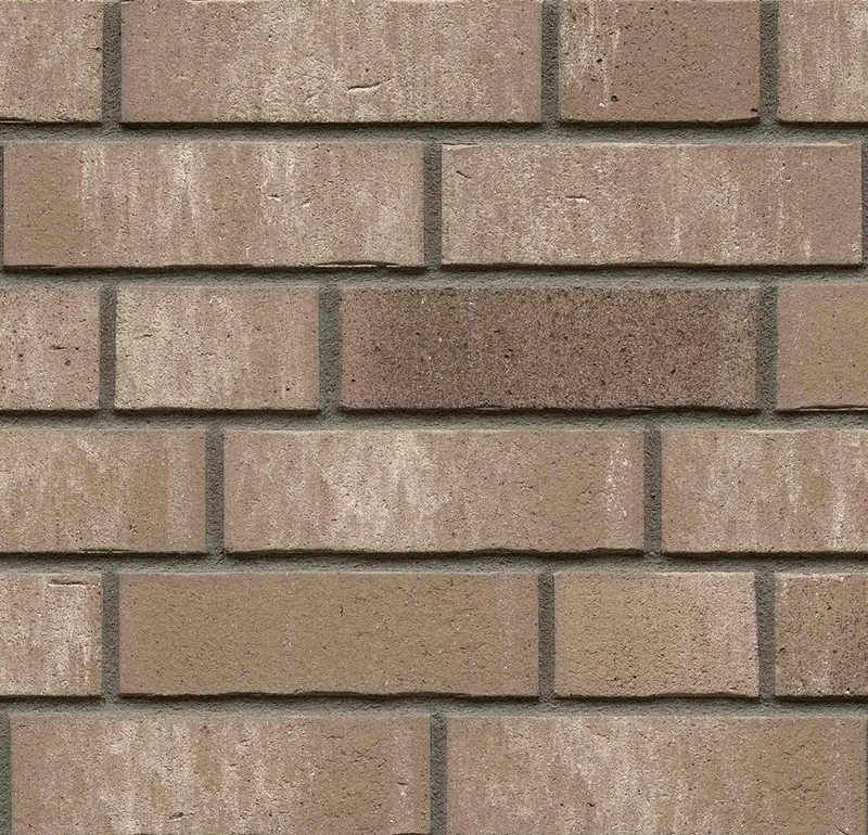 Клинкерная плитка Feldhaus Klinker R764 vascu argo rotado
