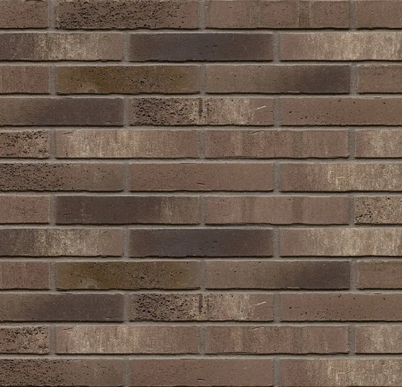 Ригельная клинкерная плитка Feldhaus Klinker R775 LDF vascu argo marengo