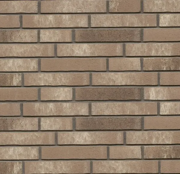 Ригельная клинкерная плитка Feldhaus Klinker R764 LDF vascu argo rotado