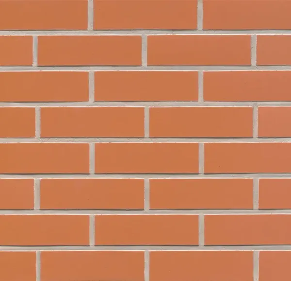 Клинкерная плитка Feldhaus Klinker R220 terracotta liso