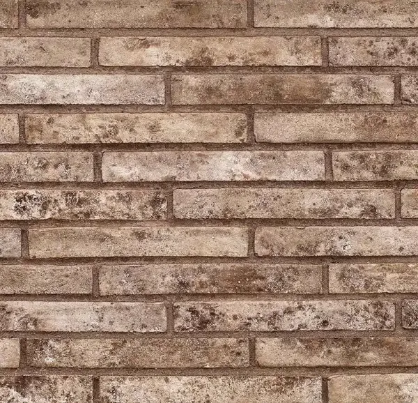 Кирпич ригельный Тандем Плутон MN005, 290x90x40 мм