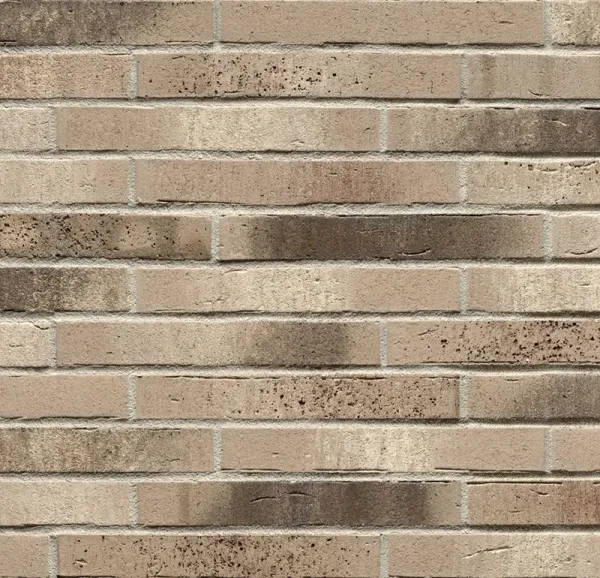 Ригельная клинкерная плитка Feldhaus Klinker R773 XLDF vascu argo antrablanca