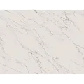 Paradyz Elite Paradyz Elite