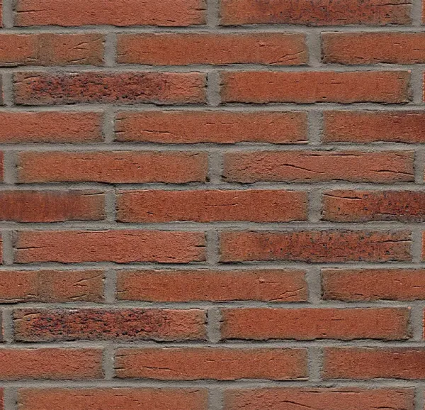 Ригельная клинкерная плитка Feldhaus Klinker R698 LDF sintra terreno bario